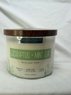 Candle-lite Essential Elements Scented Candles, Eucalyptus & Mint Leaf, 14.75 oz